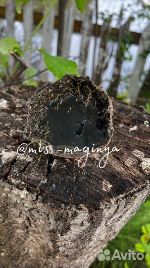 Земляные свечи