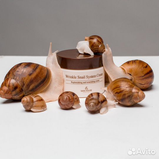 Улитки архахатины