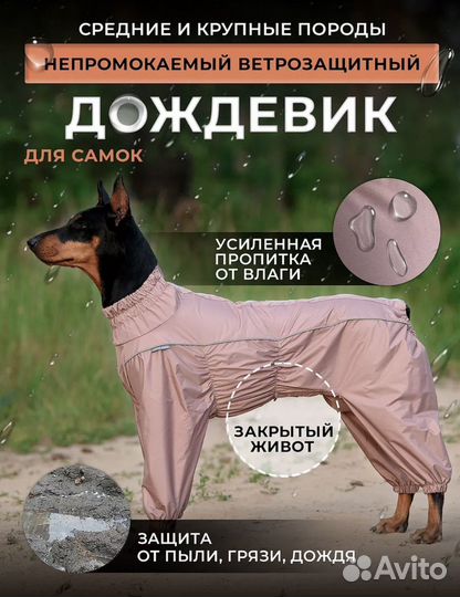 Дождевик для собаки средней породы