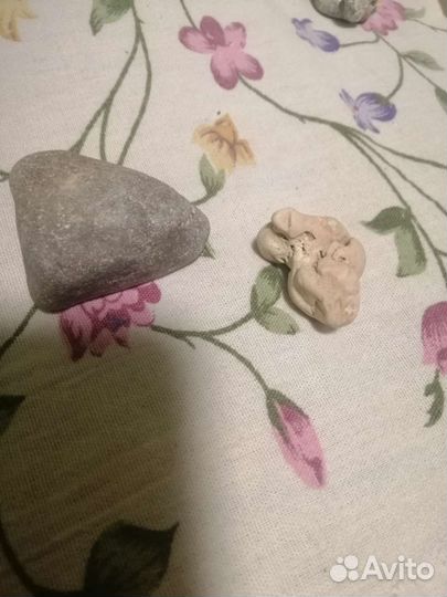 Камни с моря Азовского и чёрного