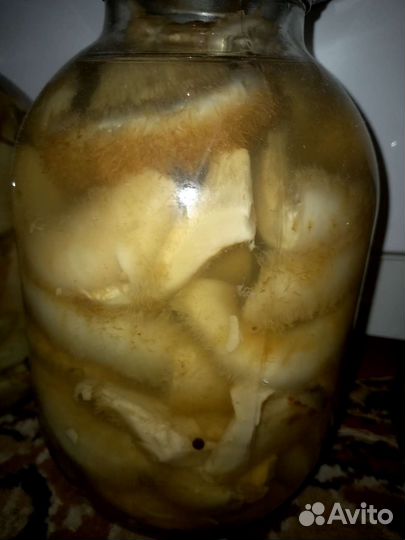 Грибы маринованные грузди