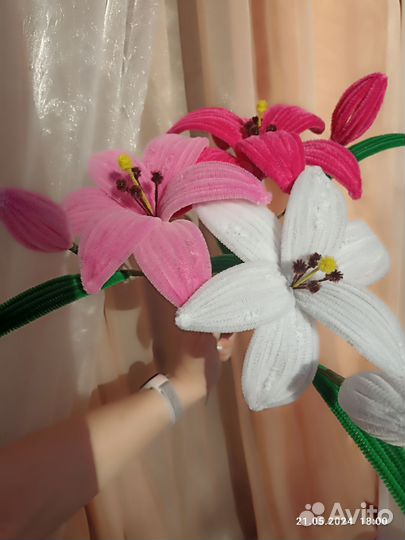 Цветы - Лилии