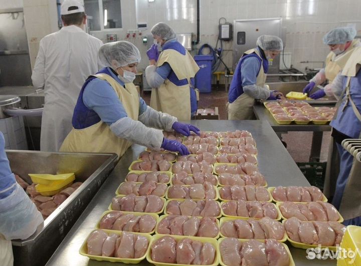 Вахта разнорабочий Тамбовская область