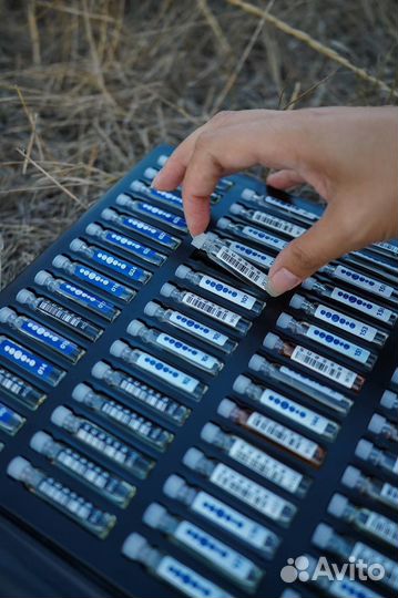 Папка с пробниками essens