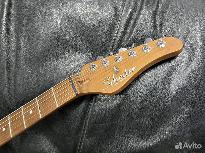 Schecter traditional VAN nuys gnat ASH