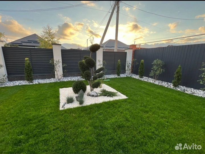 Рулонный газон