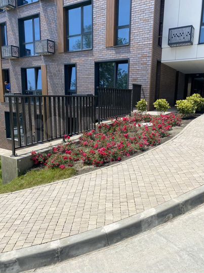 Свободного назначения, 39 м²