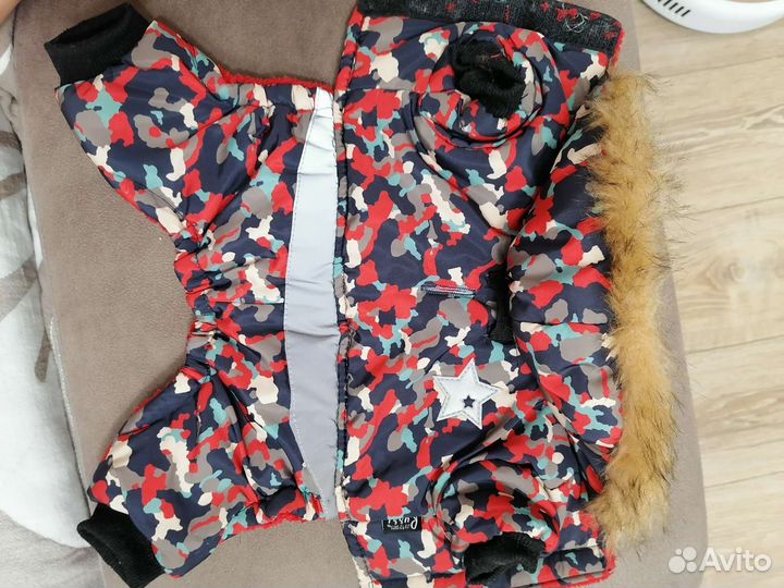 Комбинезон для маленькой собаки s