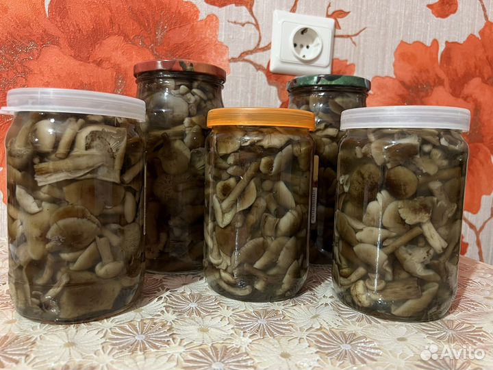 Грибы опята маринованные