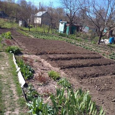 Дача 20 м² на участке 6,2 сот.