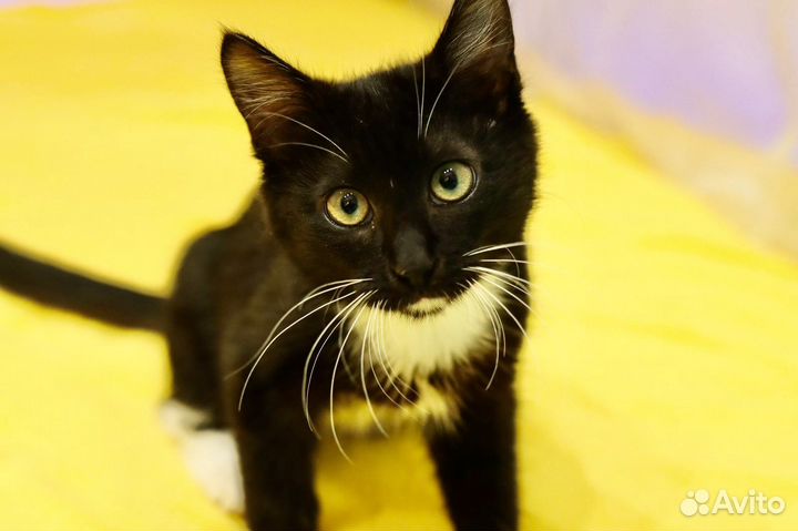 Тёма, 5 месяцев