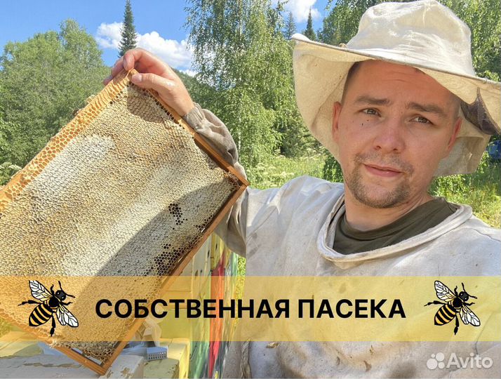 Мед свежий натуральный. Собственное производство