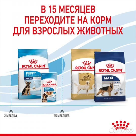 3 кг, Royal Canin Puppy Maxi