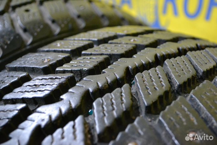 Roadstone Winguard 231 205/55 R16