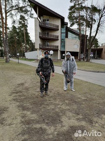 Дезинфекция Дезинсекция Дератизация Акарицидная об