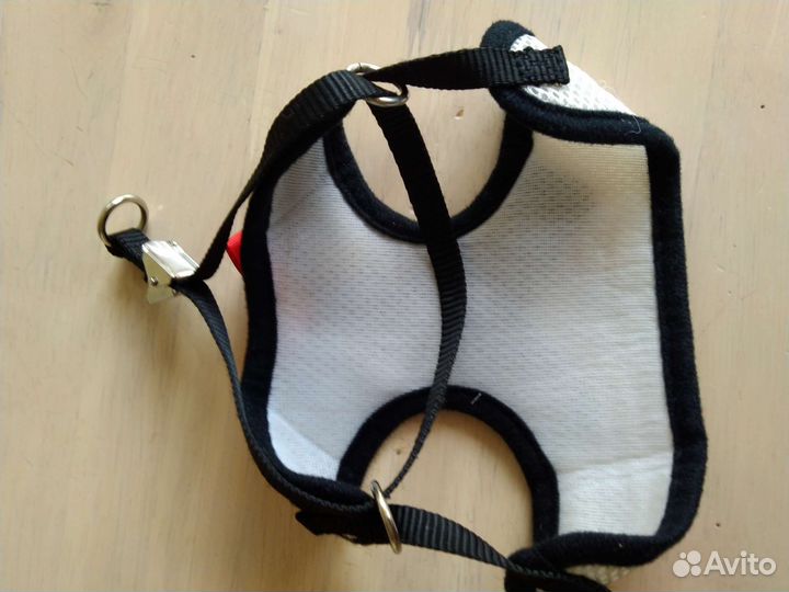 Шлейка для кошки