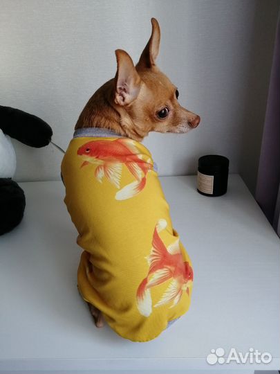 Одежда для собак, кошек