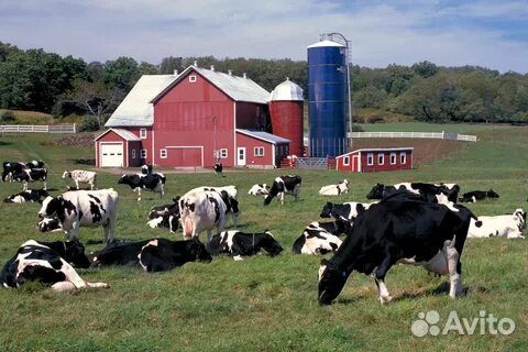 Перегной в мешках