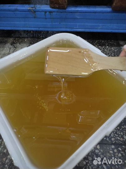 Липовый мёд качка 2023 год Опт