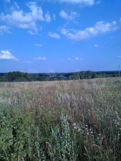 Участок 1,6 га (СНТ, ДНП)