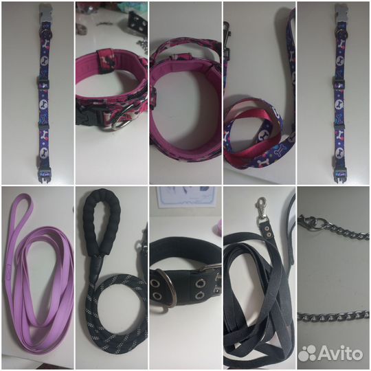 Амуниция для собак