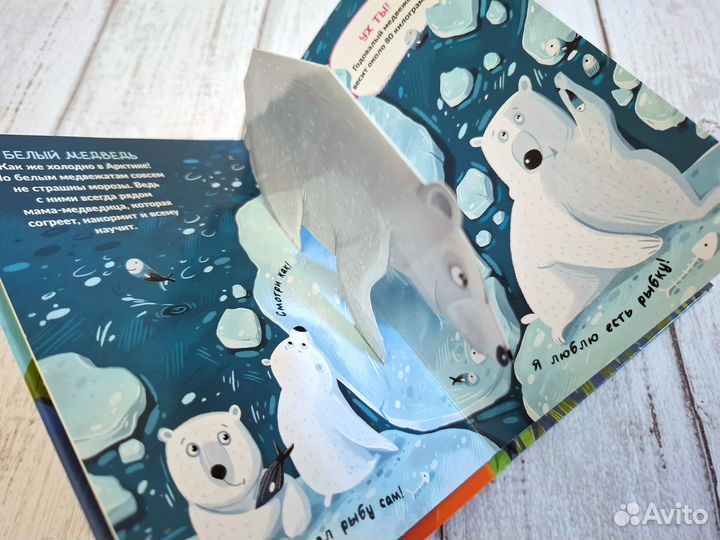 Объемные книжки панорамки Pop up Malamlama пакетом