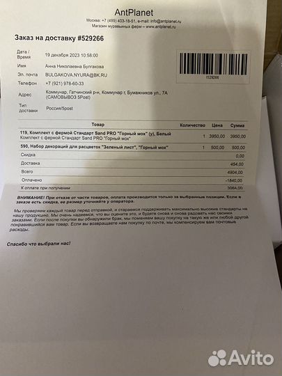 Формикарий с муравьями