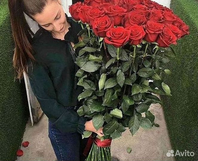 Высокие розы Гигантские розы 110