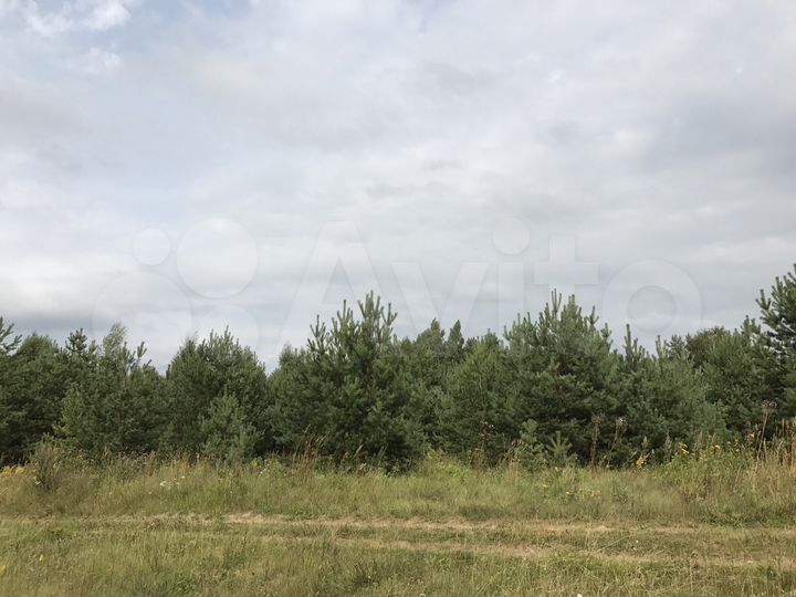 Участок 13,3 га (СНТ, ДНП)