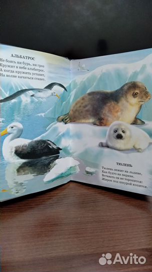 Детская книга. Стихи о животных