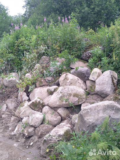 Камень булыжник валун