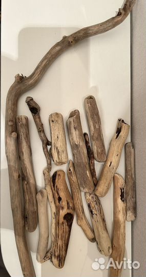 Коряги дрифтвуд