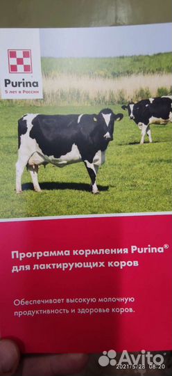 Комбикорм для коров Purina