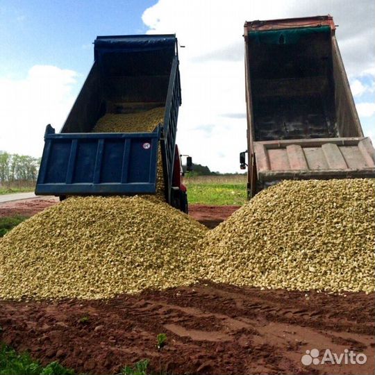 Земля плодородная
