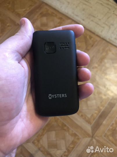 Oysters Ulan-Ude