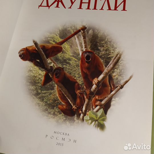 Детские книги, энциклопедия Джунгли