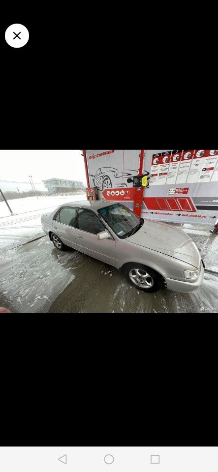 Toyota Corolla: фото владельца