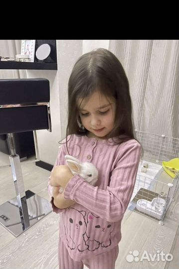 Крошки заи миняшки