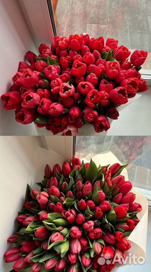 Тюльпаны к 8 марта