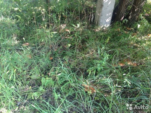 Участок 16,5 сот. (ИЖС)