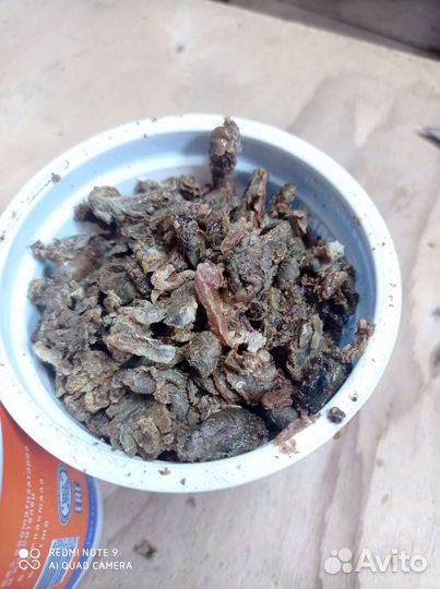 Прополис пчелиный