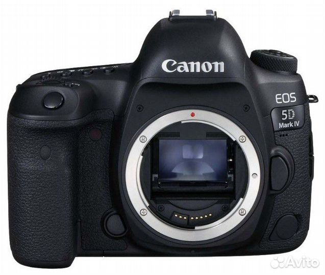 Canon 5D Mark IV body