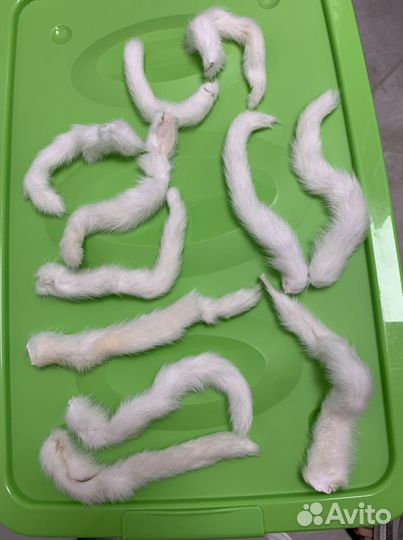 Шкурки норки, чернобурки, хвосты норки