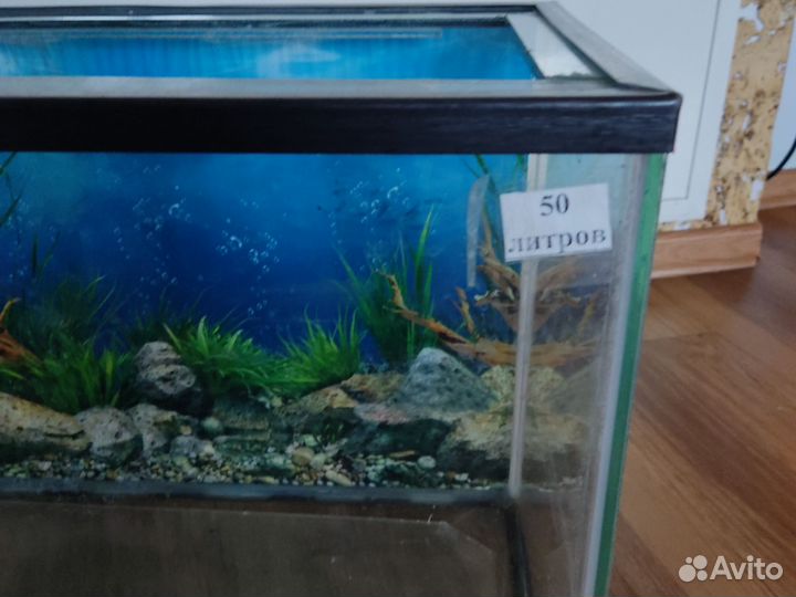 Аквариум