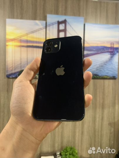 iPhone 12