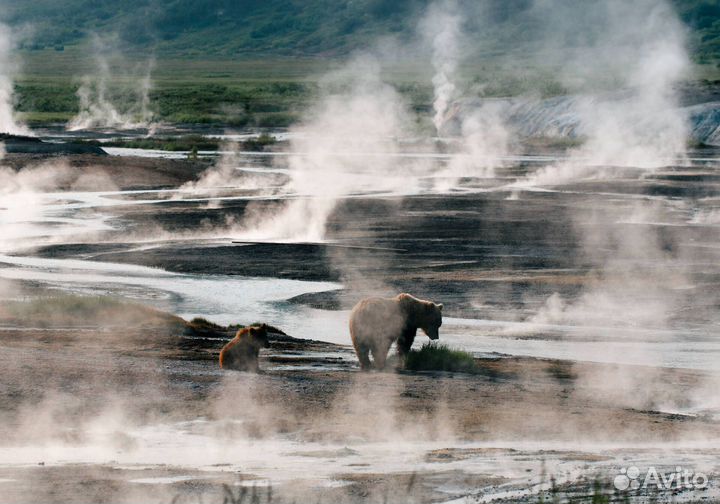 VIP Тур на Камчатку