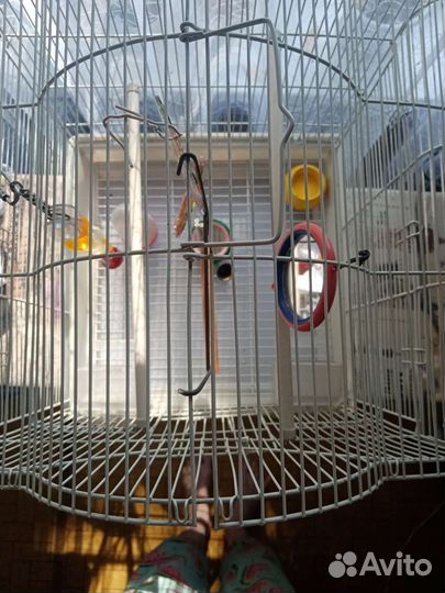 Клетка для попугая