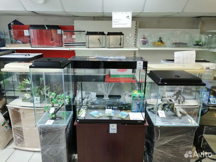 Аквариумы террариумы