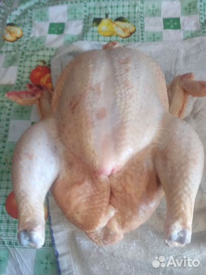 Мясо бройлера