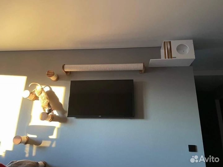 Домик комплекс для кошек